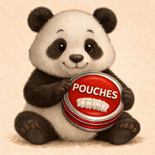 20 PANDA NICOTINE POUCHES High (12)