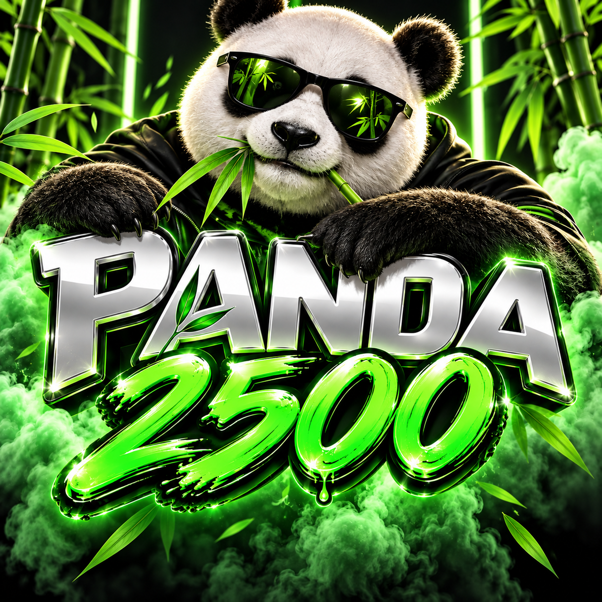 V2 Panda 2500